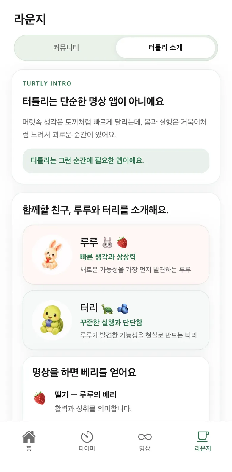 터틀리 라운지 - 터틀리 소개
